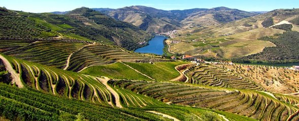 Rio Douro