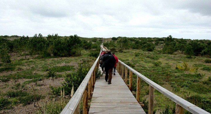 Reserva-Natural-das-Dunas-de-Sao-Jacinto