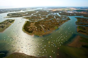 TOP Faro - Ria Formosa