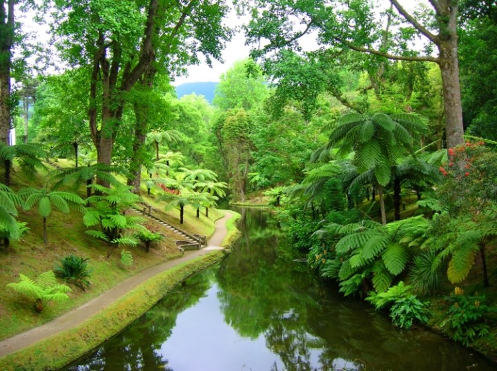 Açores - Parque Terra Nostra