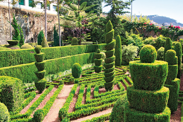 jardim botanico Madeira1