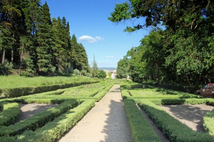 mata nacional dos montes1