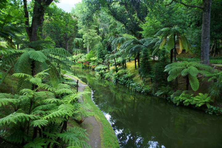 Parque-Terra-Nostra1