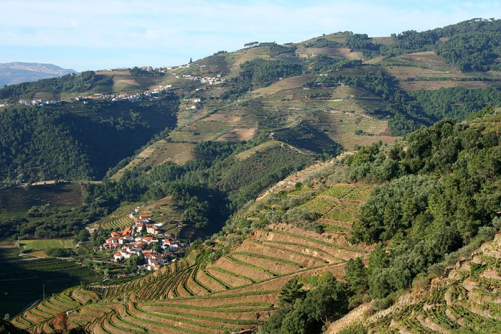 vila-real-Santa_Marta_de_Penagui∆o_Alto_Douro_Vinhateiro